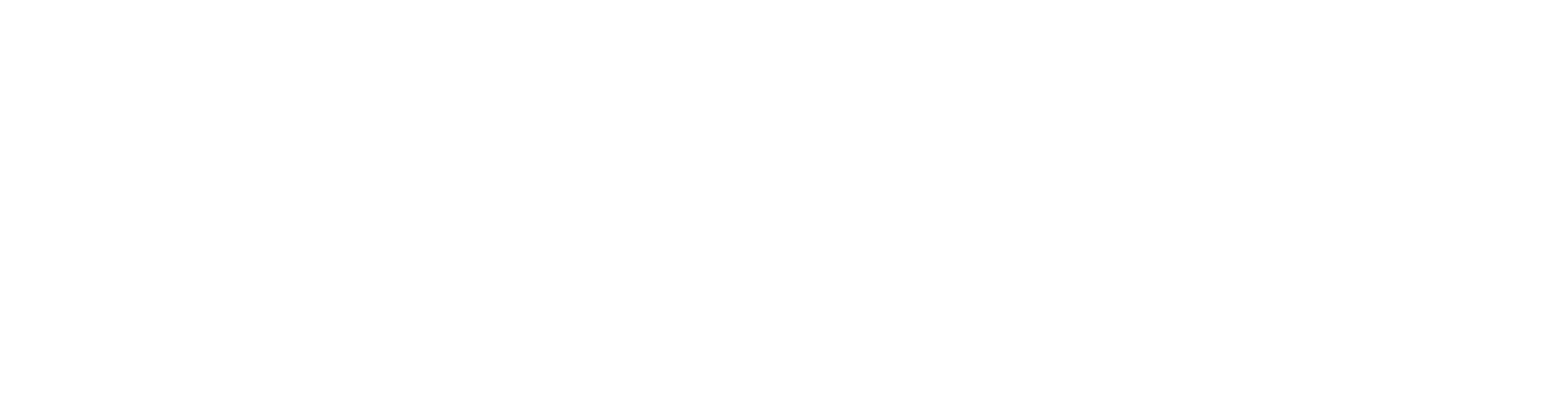 NT Store
