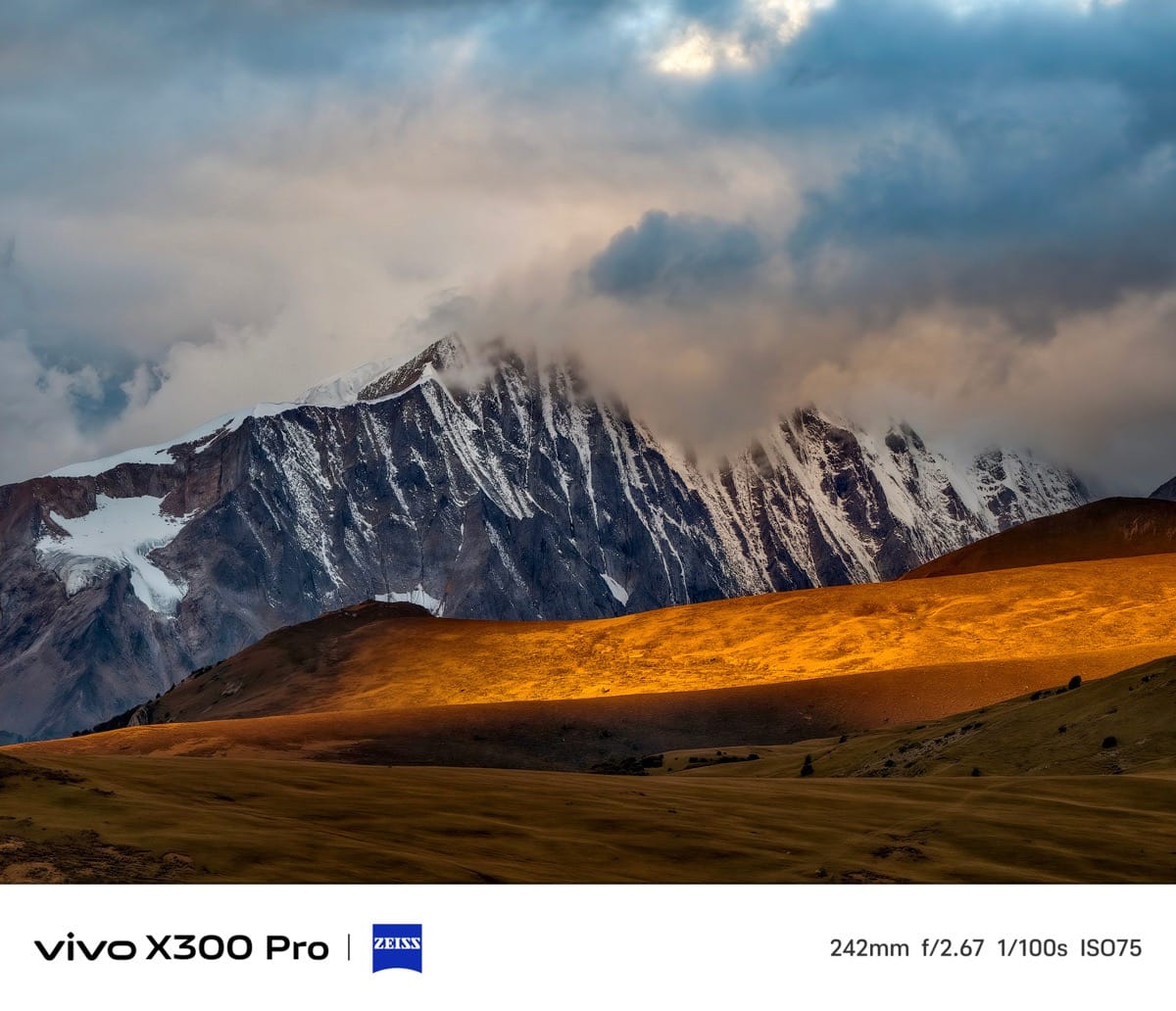 ntstore-vivo-x300-pro